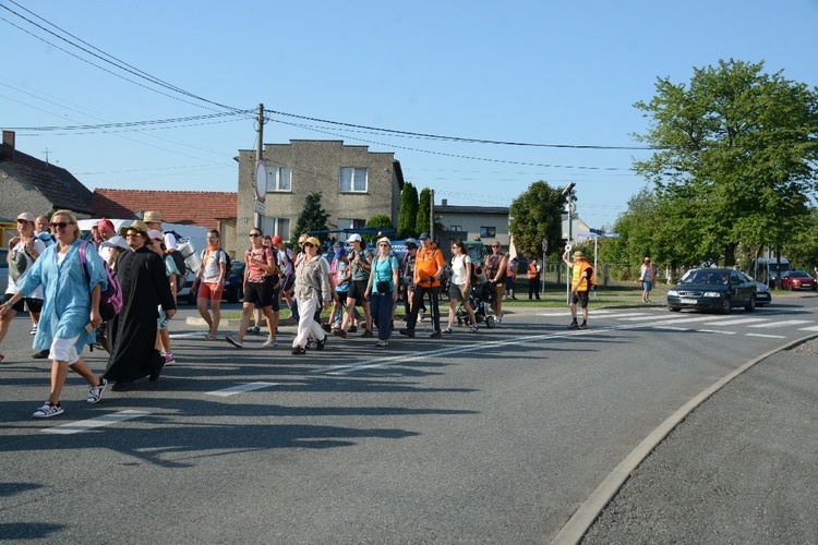 Strumień opolski w Dolnej