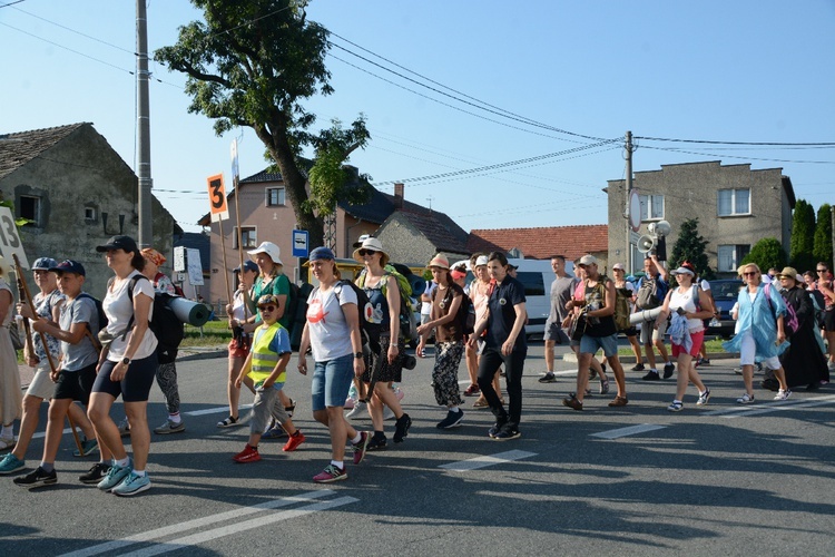 Strumień opolski w Dolnej