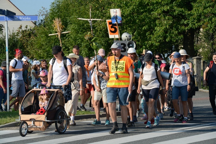 Strumień opolski w Dolnej