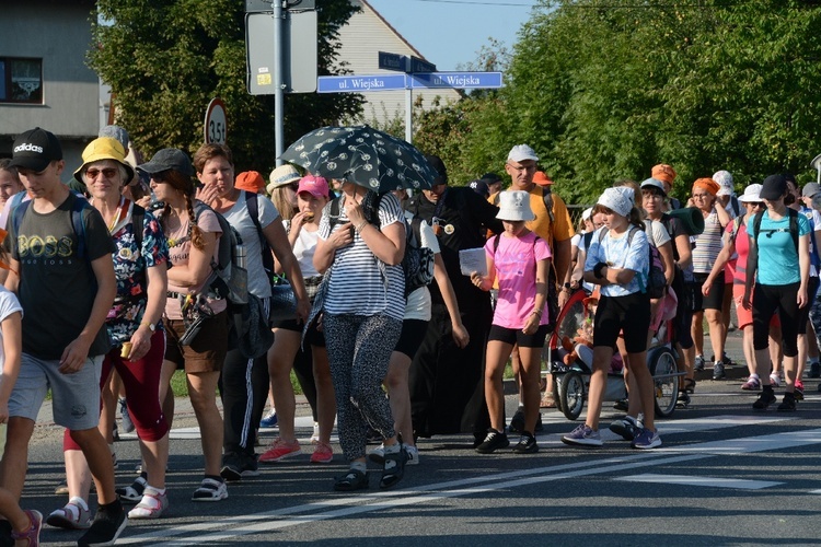 Strumień opolski w Dolnej