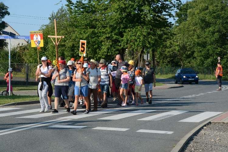 Strumień opolski w Dolnej