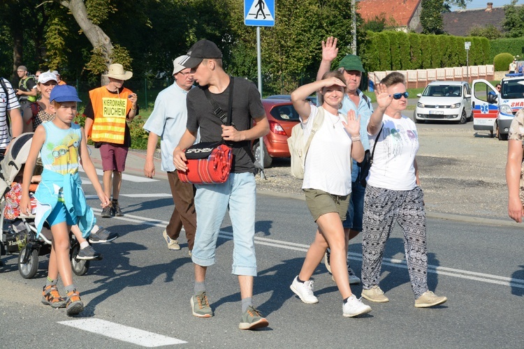 Strumień opolski w Dolnej