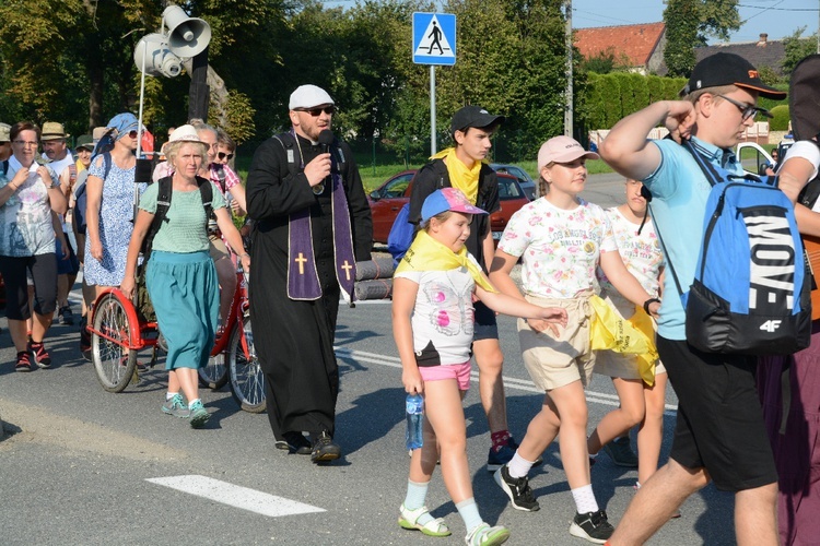 Strumień opolski w Dolnej