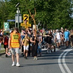 Strumień opolski w Dolnej