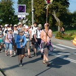 Strumień opolski w Dolnej