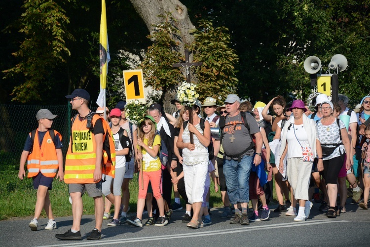 Strumień opolski w Dolnej