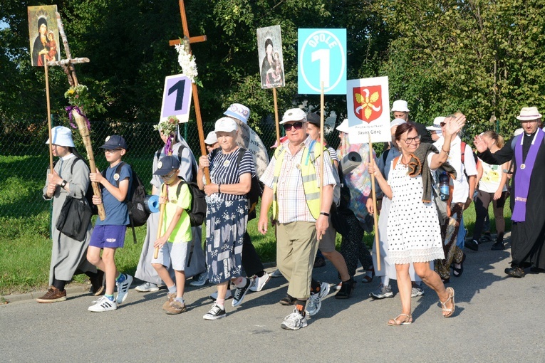 Strumień opolski w Dolnej