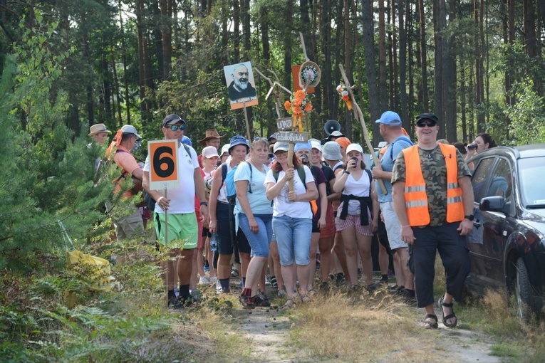 Czwartkowa droga przez las