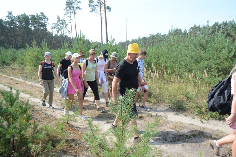 Czwartkowa droga przez las