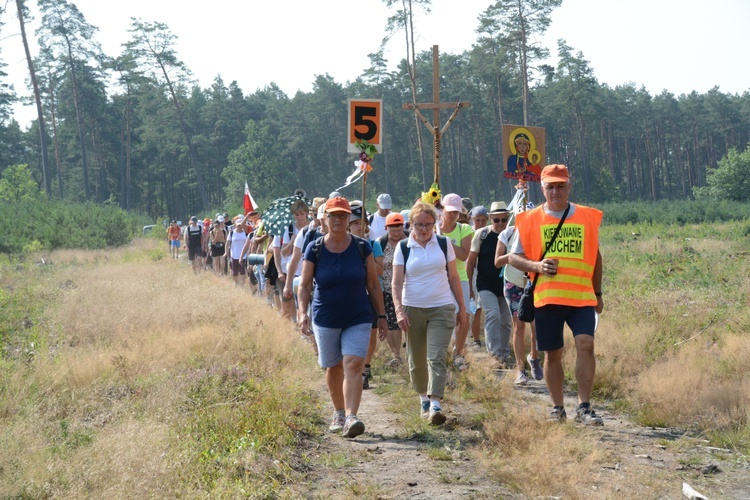 Czwartkowa droga przez las