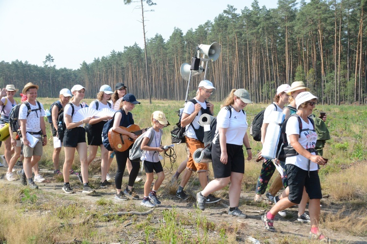 Czwartkowa droga przez las