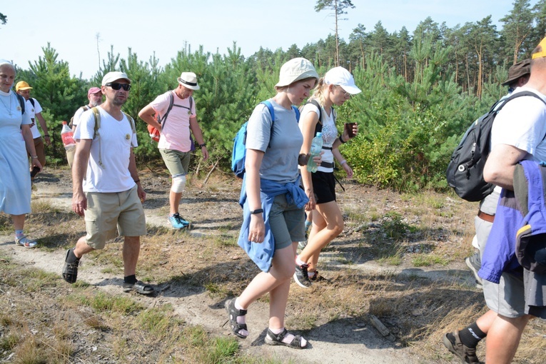 Czwartkowa droga przez las