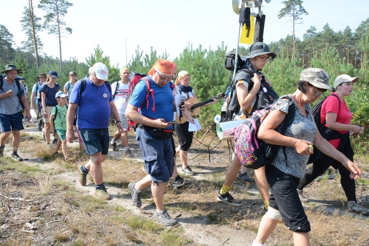 Czwartkowa droga przez las