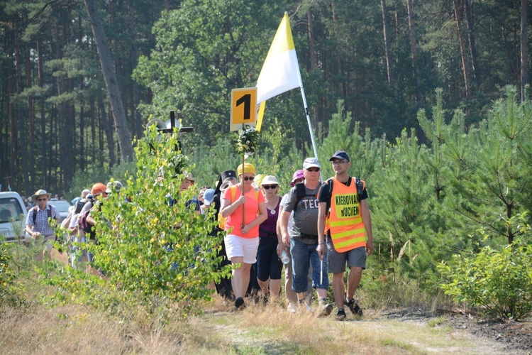 Czwartkowa droga przez las