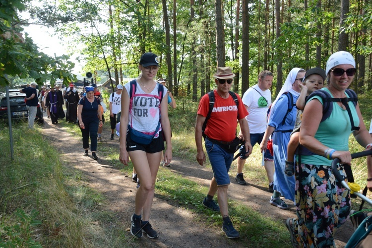 Czwartkowa droga przez las