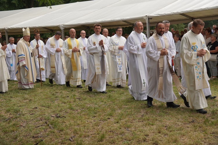 V Pielgrzymka Żywego Różańca i czcicieli Matki Bożej do Henrykowa