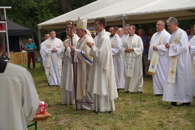 V Pielgrzymka Żywego Różańca i czcicieli Matki Bożej do Henrykowa