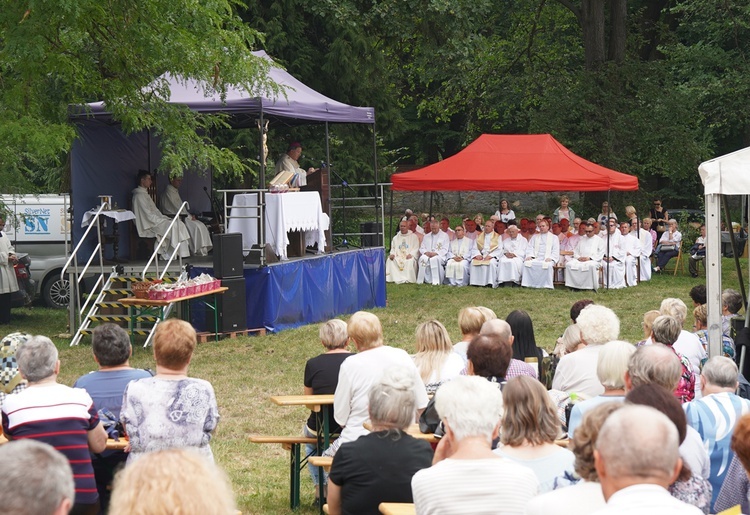 V Pielgrzymka Żywego Różańca i czcicieli Matki Bożej do Henrykowa