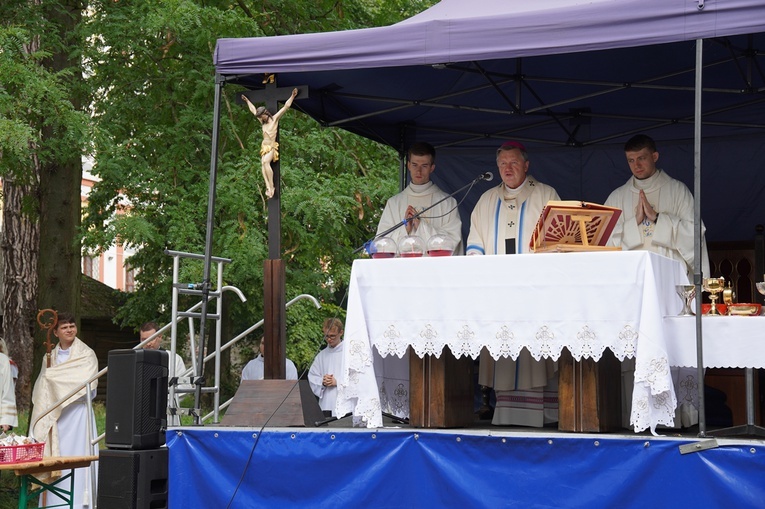V Pielgrzymka Żywego Różańca i czcicieli Matki Bożej do Henrykowa