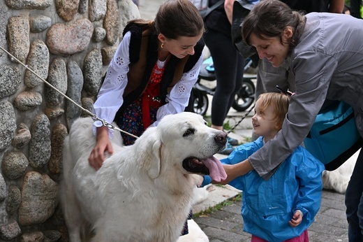 53. Międzynarodowy Festiwal Folkloru Ziem Górskich