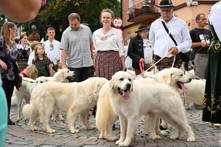 53. Międzynarodowy Festiwal Folkloru Ziem Górskich