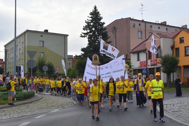 Pielgrzymka z Przedborza na Jasną Górę