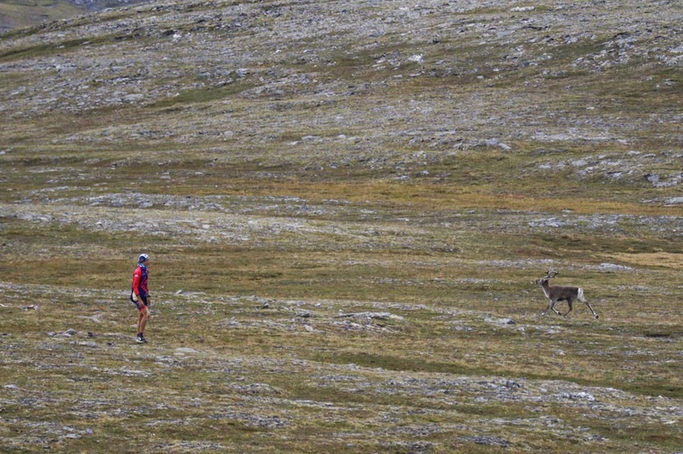 NINIWA Team na Północy Europy