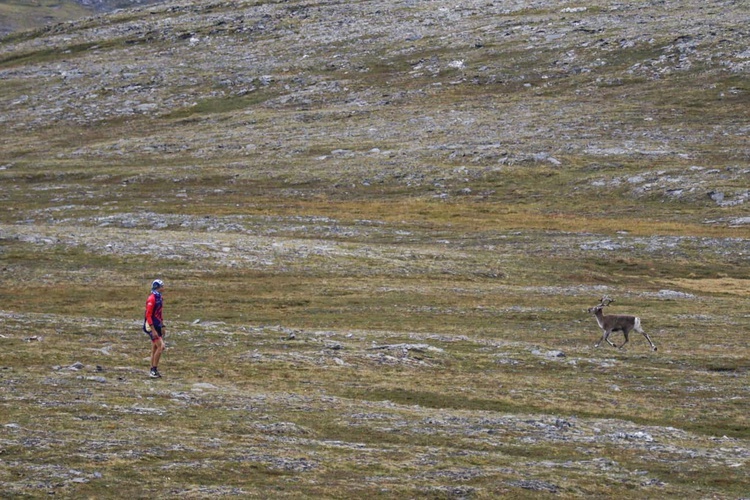 NINIWA Team na Północy Europy