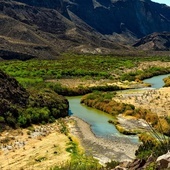 USA: Wyschnięte koryto rzeki ujawniło ślady łap dinozaura sprzed 113 milionów lat