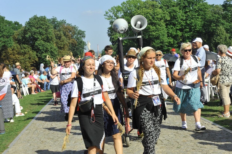 Grupa 17 - wejście