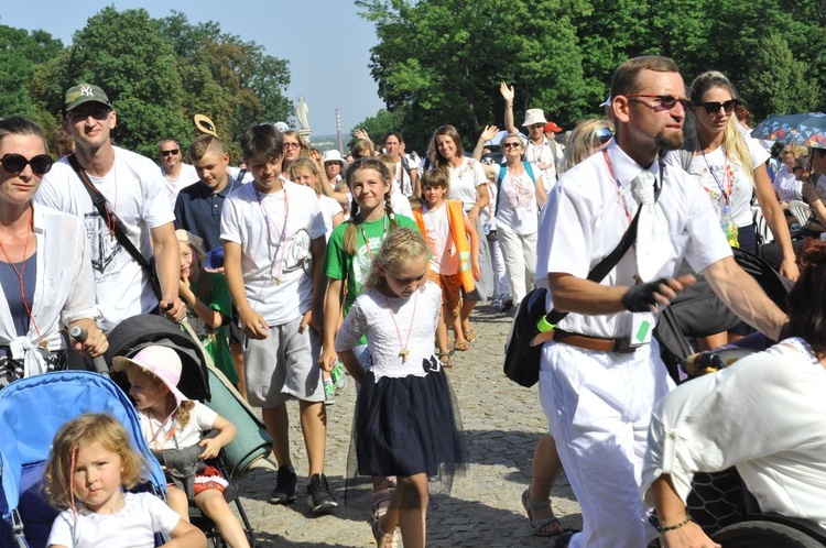 Grupa 15 - wejście