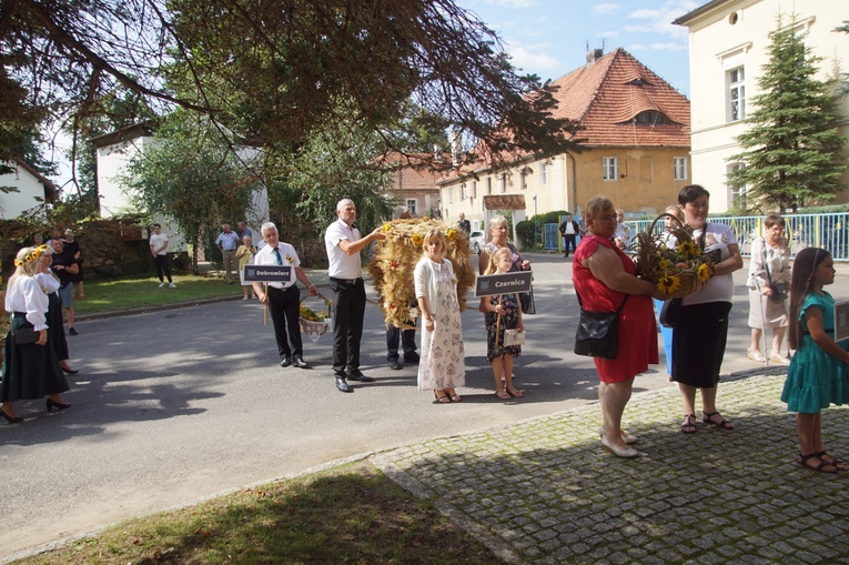 Roztoka. Dożynki Gminy Dobromierz