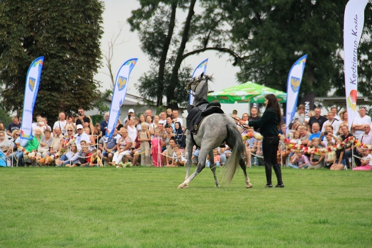 Jeździeckie Mistrzostwa Gwiazd w Zakrzowie