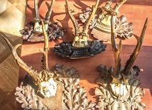 ▲	Zabytkowe poroża z Dzikowa