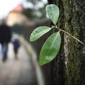 ▲	– Najpiękniejsze w dzieciństwie jest to, że jest otwartą drogą  – przekonuje twórca.