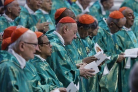 Papież przestrzegł kardynałów przed myśleniem, że Kościół jest wielki, a oni na wybitnych stopniach hierarchii