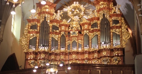 Lubin. Organy u Matki