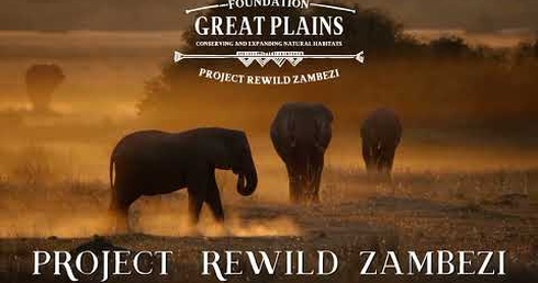 GREAT PLAINS | Project Rewild Zambezi