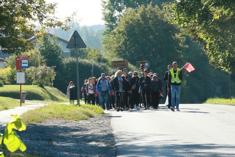 Pielgrzymi do Wąwolnicy