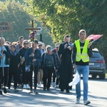 Pielgrzymi do Wąwolnicy