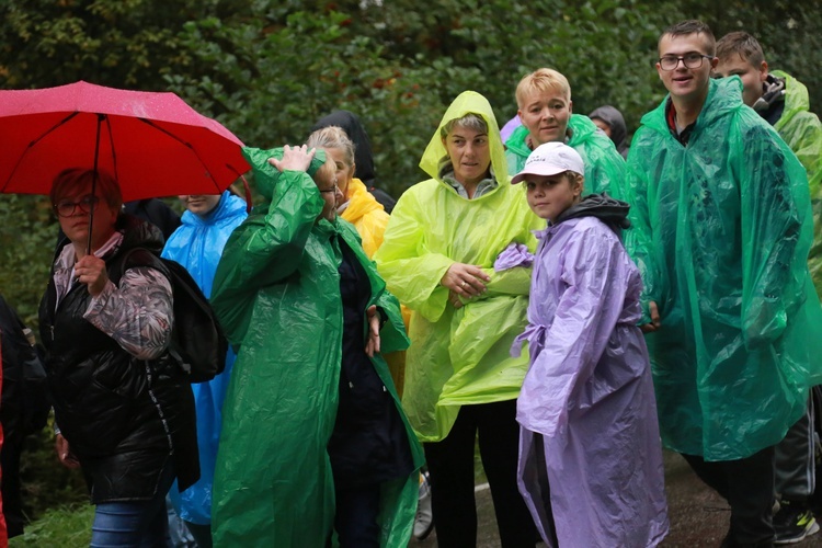 Grupa z Radomyśla Wielkiego