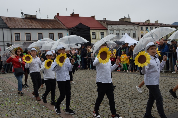 45. Skierniewickie Święto Kwiatów, Owoców i Warzyw. Parada