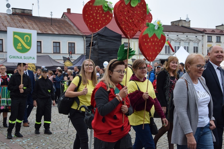 45. Skierniewickie Święto Kwiatów, Owoców i Warzyw. Parada