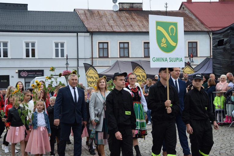 45. Skierniewickie Święto Kwiatów, Owoców i Warzyw. Parada