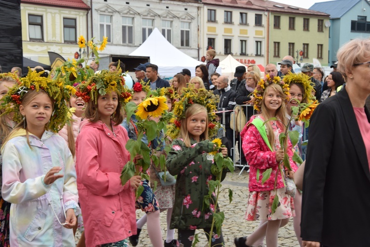 45. Skierniewickie Święto Kwiatów, Owoców i Warzyw. Parada