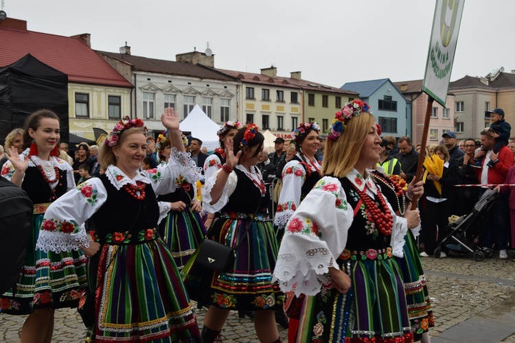 45. Skierniewickie Święto Kwiatów, Owoców i Warzyw. Parada