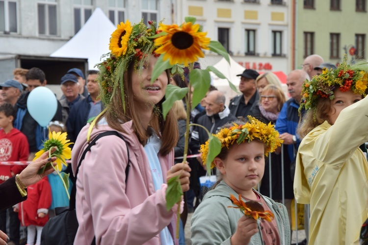 45. Skierniewickie Święto Kwiatów, Owoców i Warzyw. Parada