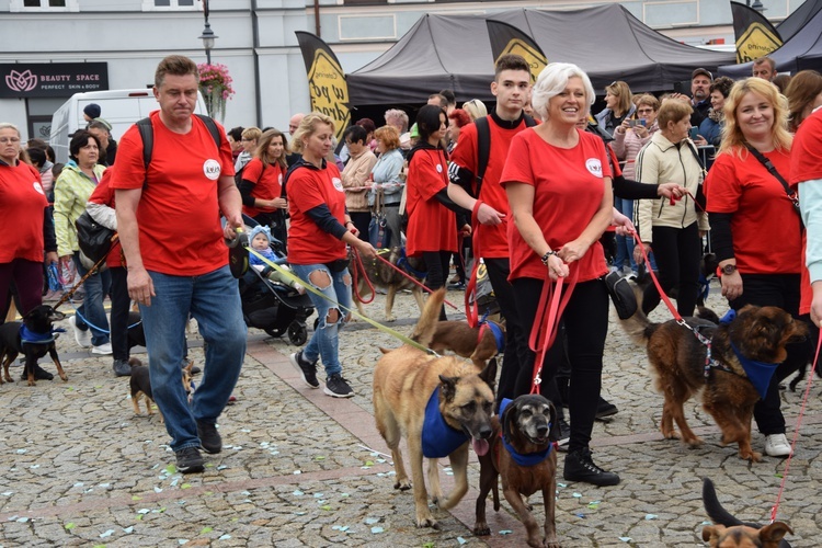 45. Skierniewickie Święto Kwiatów, Owoców i Warzyw. Parada