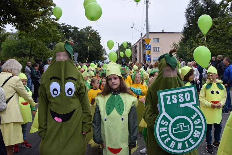 45. Skierniewickie Święto Kwiatów, Owoców i Warzyw. Parada