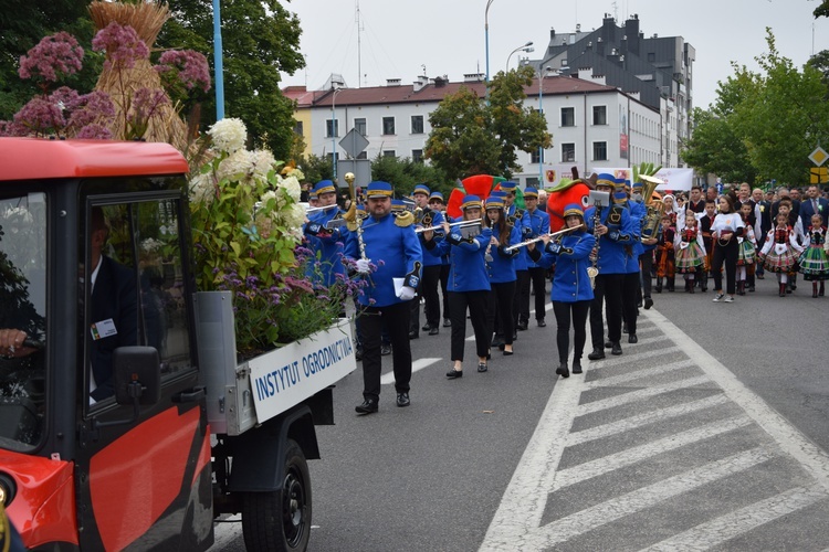 45. Skierniewickie Święto Kwiatów, Owoców i Warzyw. Parada